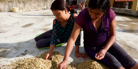 第三WCPF解决一个真正可持续的咖啡价值链的重要性
